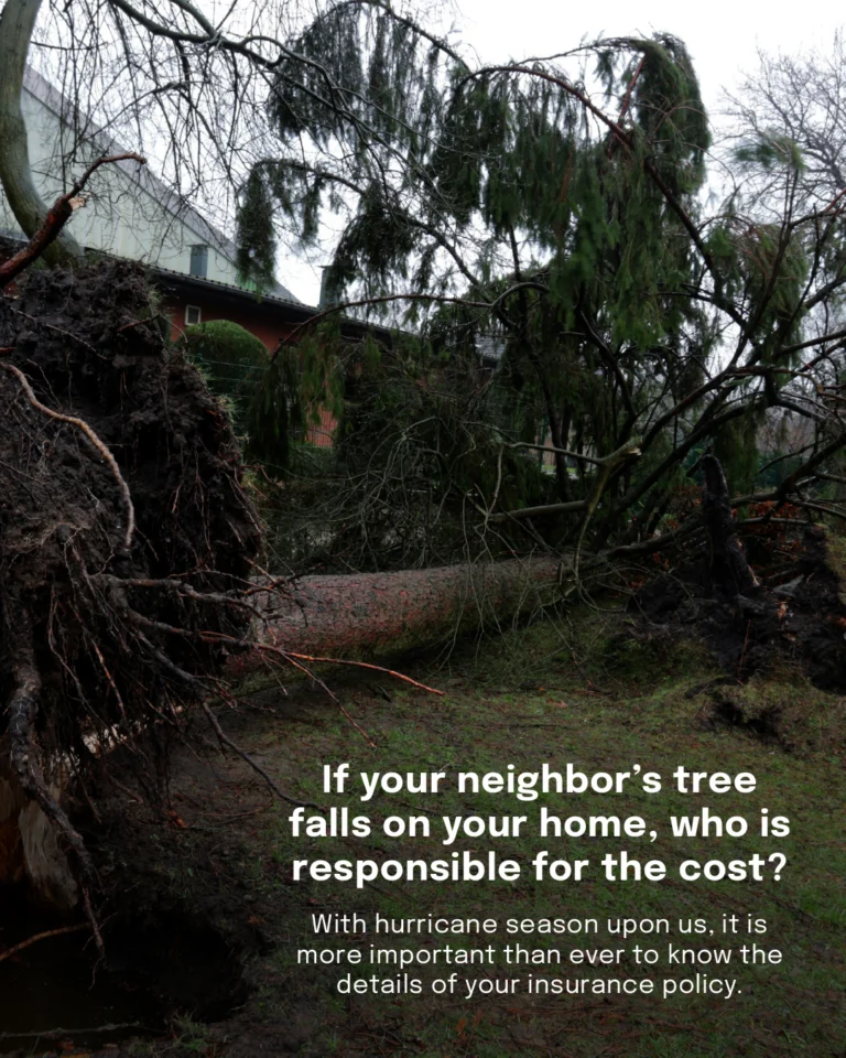 Call your insurance company and verify your policy now, before the storms hit. Confirm that wind, falling trees and storm damage are all covered. What qualifies as an “act of God”? Know your policy before you need it. 

Check the link in our bio to read the full article.